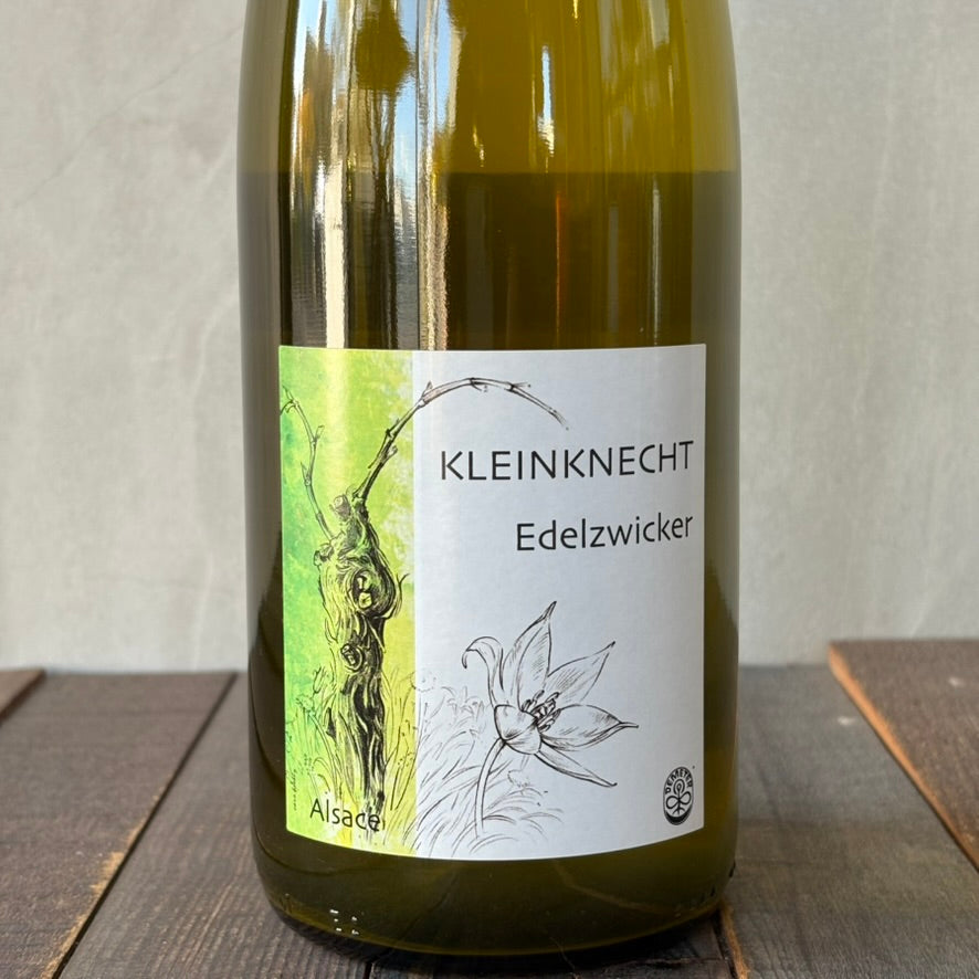 クラインクネヒト / エーデルツヴィッカー［2024］Kleinknecht / Edelzwicker