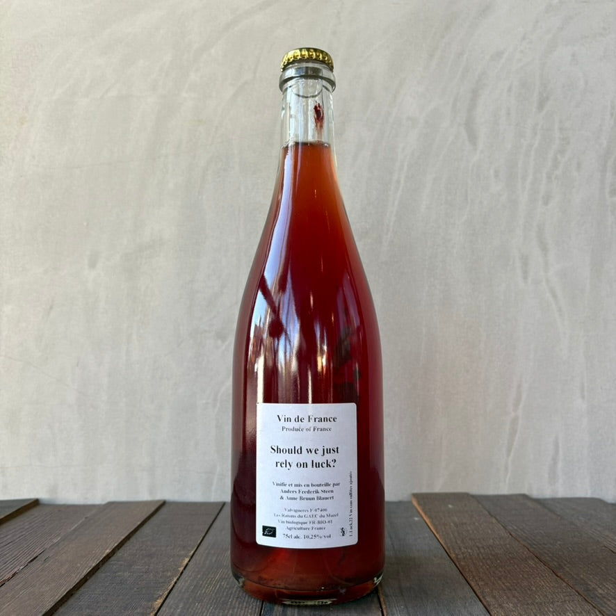 アンダース・フレデリック・スティーン / シュドゥ・ウィ・ジャスト・リライ・オン・ラック?  [2022] Anders Frederik Steen / Should we just rely on luck?