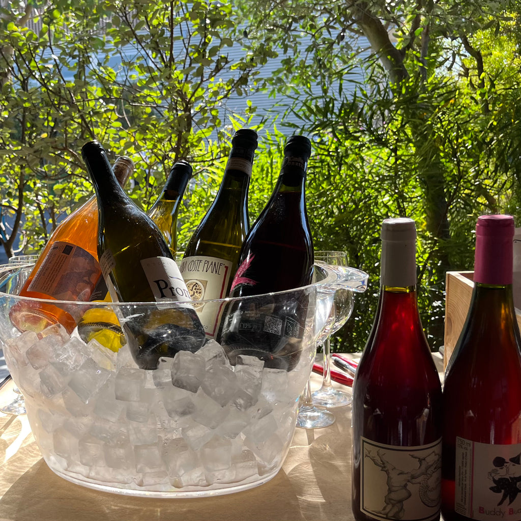 ソムリエにおまかせ定期便・ライト【月に1回ナチュラルワインが届く】