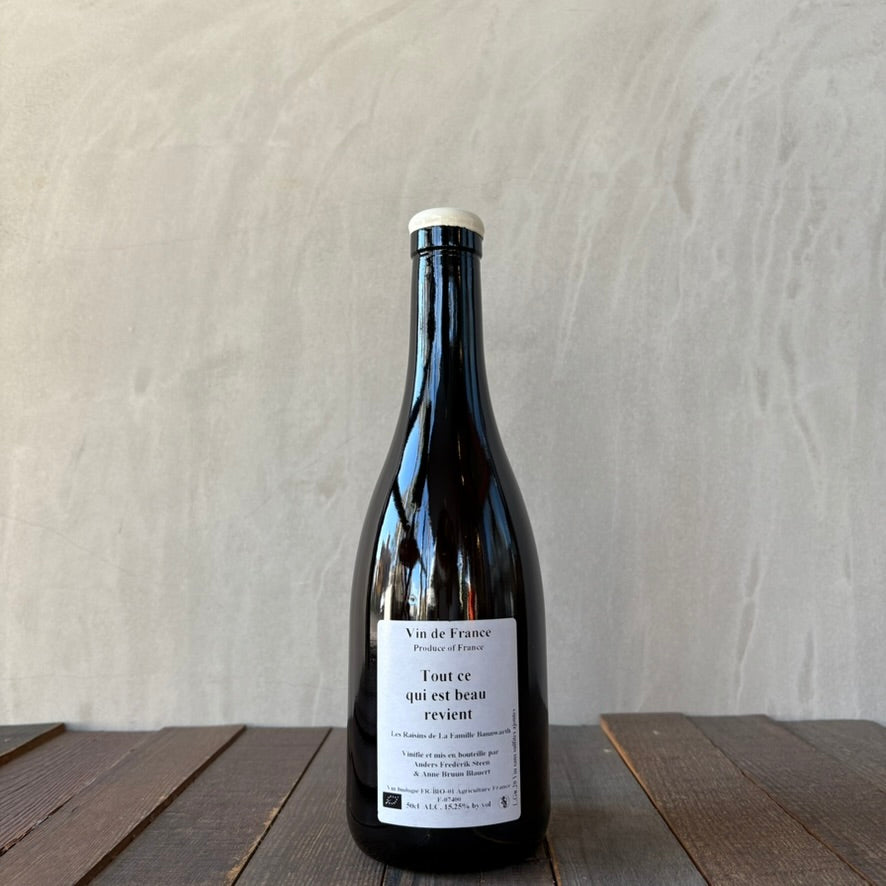 アンダース・フレデリック・スティーン / トゥ・セ・キ・エ・ボー・ルヴィアン [2020] Anders Frederik Steen / Tout ce qui est beau revient