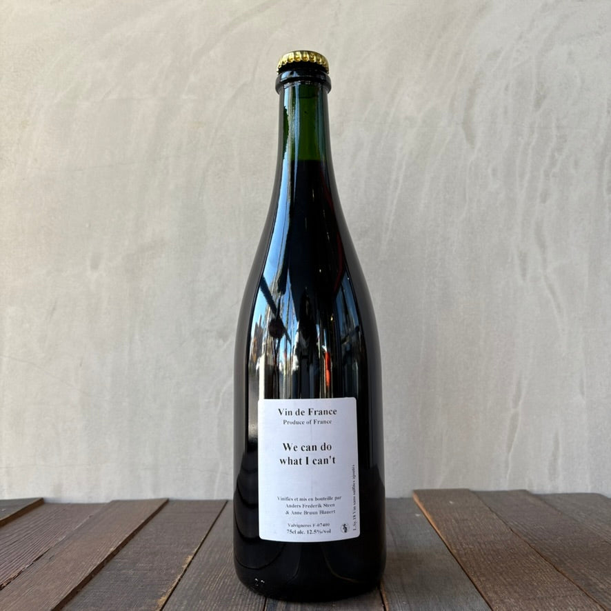 アンダース・フレデリック・スティーン / ウィ・キャン・ドゥ・ワット・アイ・キャント [2018] Anders Frederik Steen / We can do what I can’t