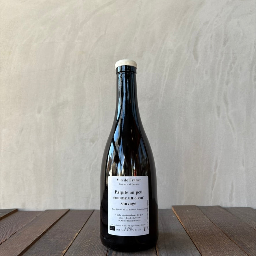 アンダース・フレデリック・スティーン / パルピット・アン・プゥ・コンム・アン・クゥール・ソヴァージュ [2017] Anders Frederik Steen / Palpite un peu comme un coeur sauvage