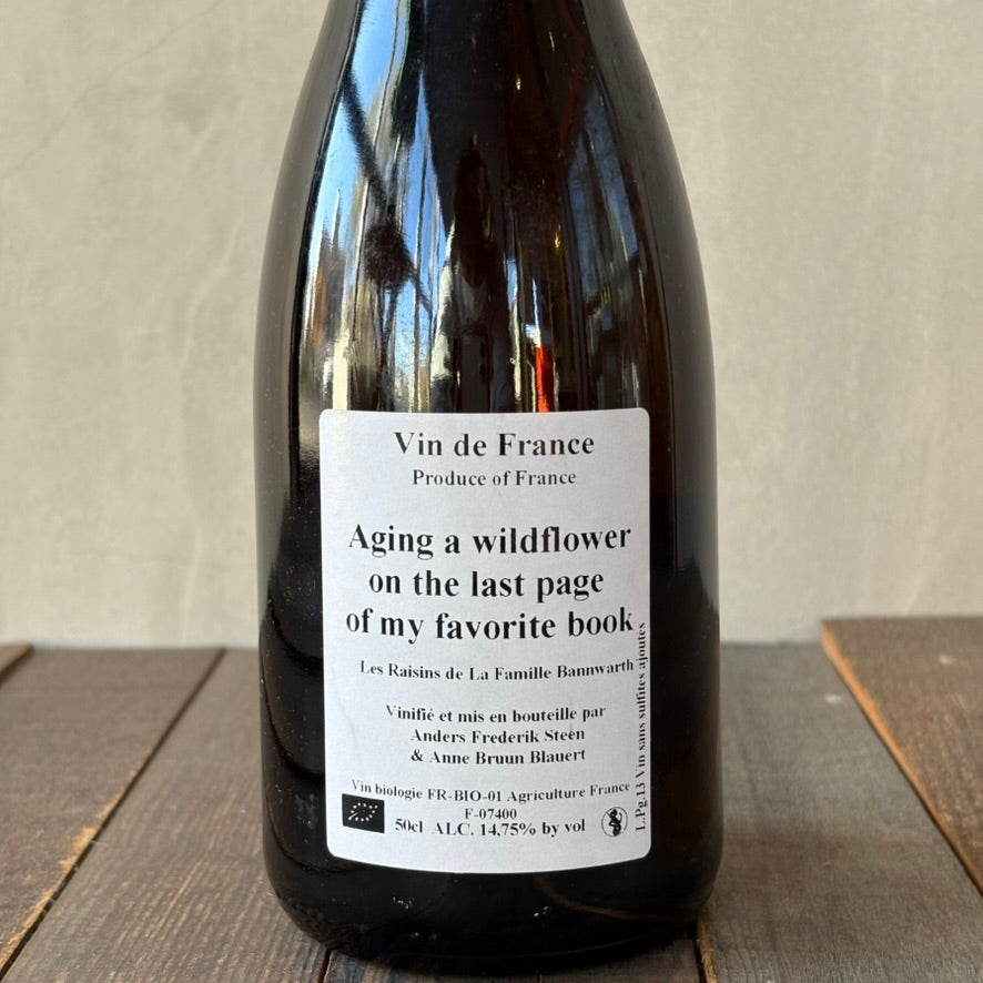 アンダース・フレデリック・スティーン / エイジング・ア・ワイルドフラワー・オン・ザ・ラスト・ページ・オブ・マイ・フェヴァリット・ブック [2017] Anders Frederik Steen / Aging a wildflower on the last page of my favorite book