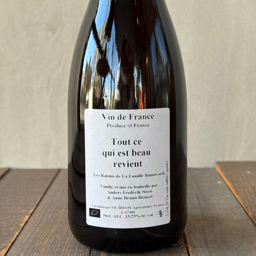 アンダース・フレデリック・スティーン / トゥ・セ・キ・エ・ボー・ルヴィアン [2020] Anders Frederik Steen / Tout ce qui est beau revient