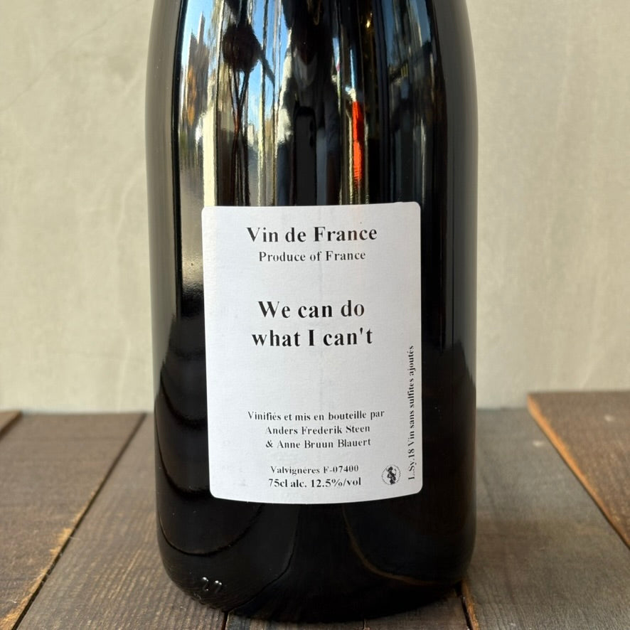 アンダース・フレデリック・スティーン / ウィ・キャン・ドゥ・ワット・アイ・キャント [2018] Anders Frederik Steen / We can do what I can’t