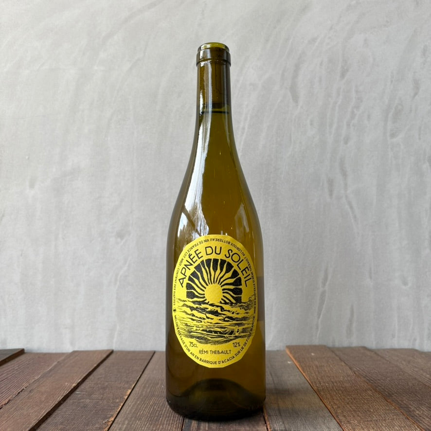 Paul Delvaux、LE REVE、海外版超希少レゾネ、新品額付 DELVAUX