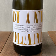 ローラン・サイヤール / ブランク［2023］Laurent SAILLARD / Blank